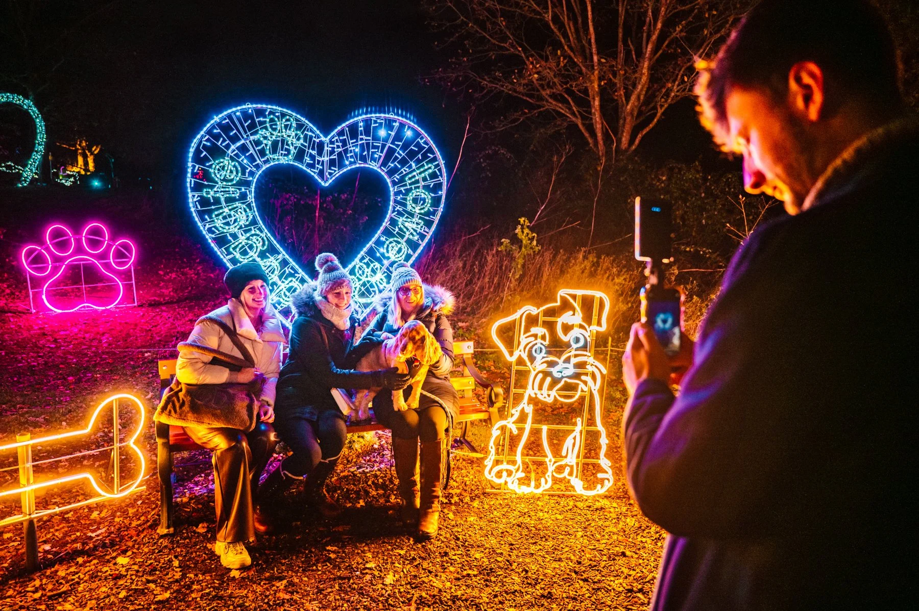Northampton 2025 — Winter Light Trail